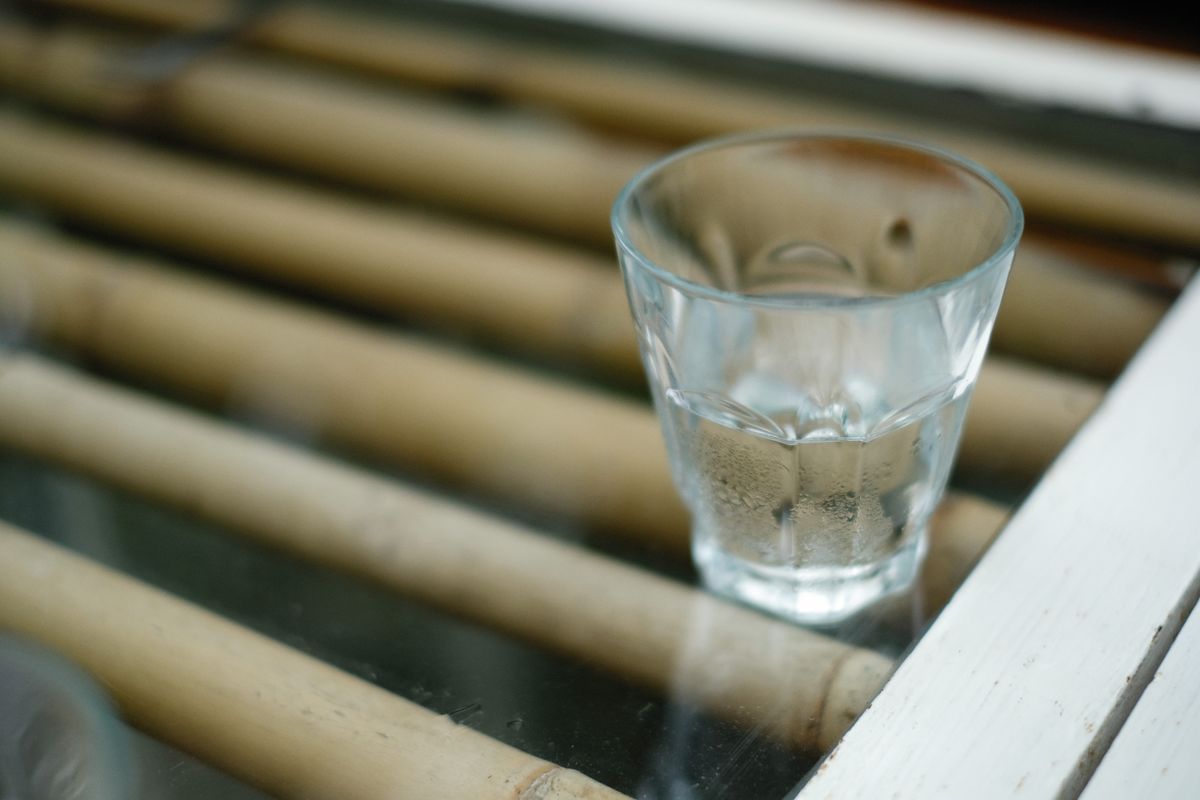绿茶VPN免费试用多久?试用规则说清